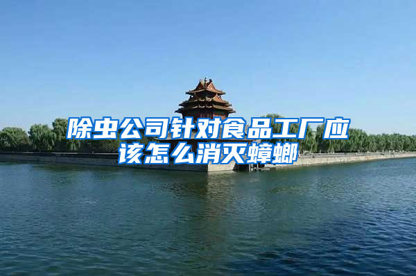 除蟲公司針對食品工廠應(yīng)該怎么消滅蟑螂