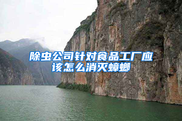 除蟲(chóng)公司針對(duì)食品工廠應(yīng)該怎么消滅蟑螂
