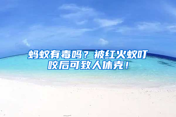 螞蟻有毒嗎？被紅火蟻叮咬后可致人休克！