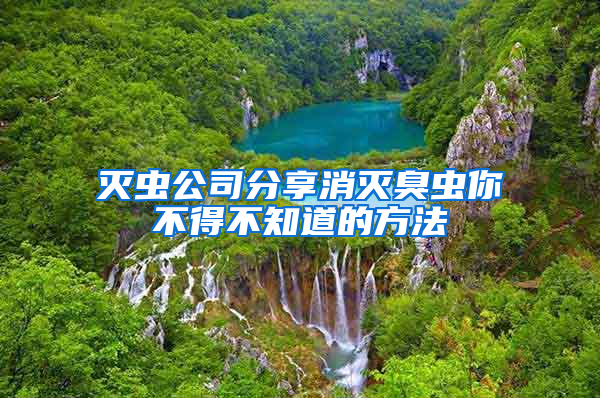 滅蟲(chóng)公司分享消滅臭蟲(chóng)你不得不知道的方法