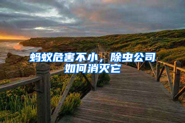 螞蟻危害不小，除蟲公司如何消滅它