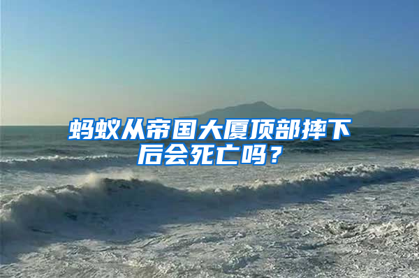 螞蟻從帝國大廈頂部摔下后會死亡嗎？