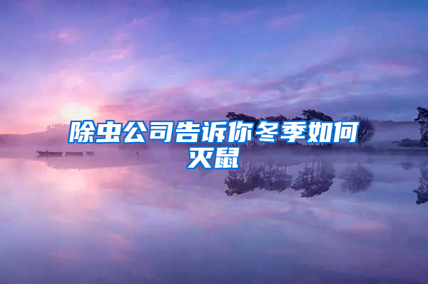 除蟲(chóng)公司告訴你冬季如何滅鼠
