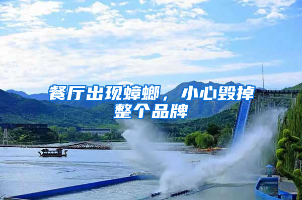 餐廳出現蟑螂，小心毀掉整個品牌