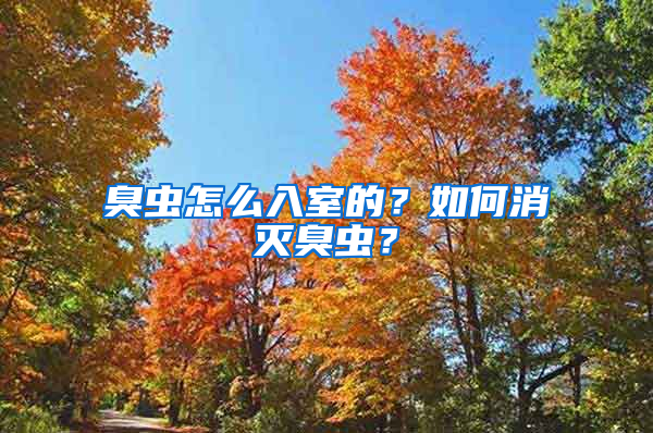 臭蟲怎么入室的？如何消滅臭蟲？