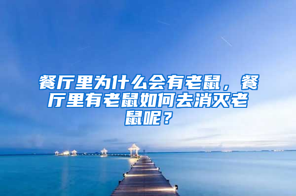 餐廳里為什么會有老鼠，餐廳里有老鼠如何去消滅老鼠呢？