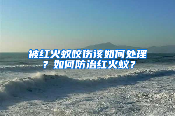 被紅火蟻咬傷該如何處理？如何防治紅火蟻？