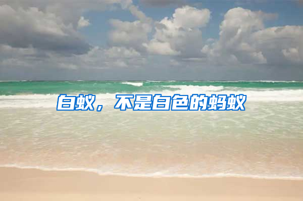 白蟻，不是白色的螞蟻