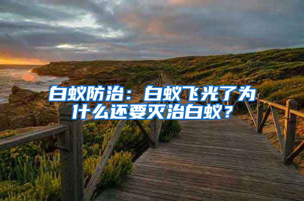 白蟻防治：白蟻飛光了為什么還要滅治白蟻？