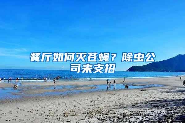 餐廳如何滅蒼蠅？除蟲公司來支招