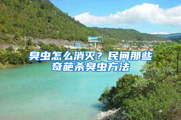 臭蟲(chóng)怎么消滅？民間那些奇葩殺臭蟲(chóng)方法