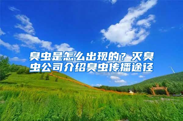 臭蟲是怎么出現(xiàn)的？滅臭蟲公司介紹臭蟲傳播途徑