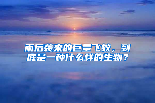 雨后襲來的巨量飛蟻，到底是一種什么樣的生物？