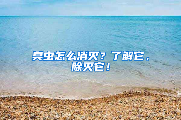 臭蟲怎么消滅？了解它，除滅它！