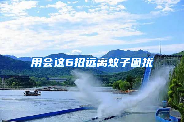 用會這6招遠(yuǎn)離蚊子困擾